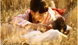 刀客家族的女人电视剧,乱世情仇，铁血柔情