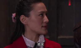 红狐电视剧全集,传奇特工的生死较量