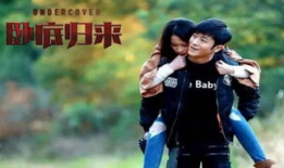 好看 电视剧,盘点那些让人一眼难忘的电视剧佳作