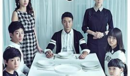 奇怪的家政妇 电视剧,揭开隐藏在平凡生活下的秘密